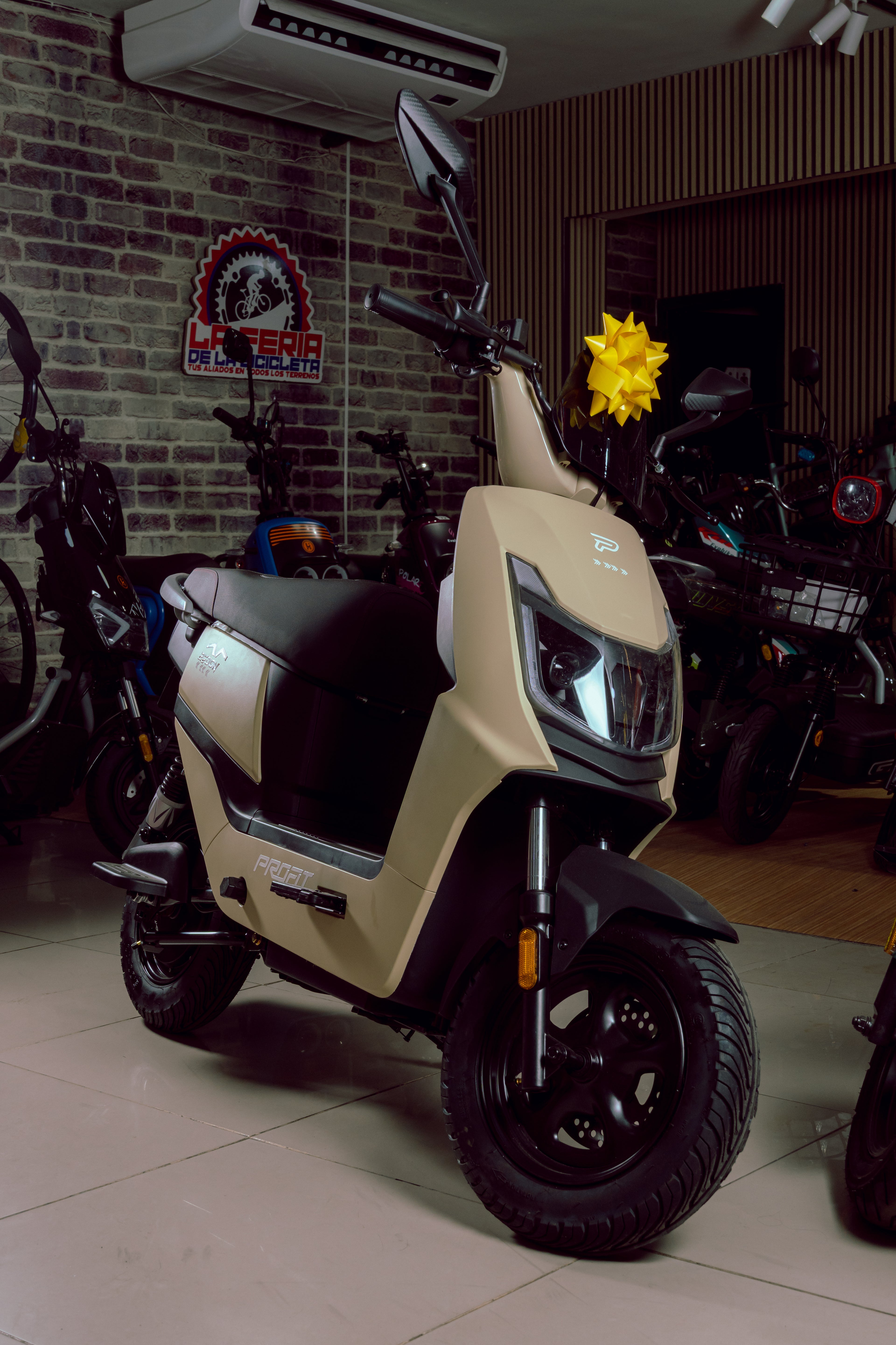 Bicicleta Eléctrica Profit Zedona